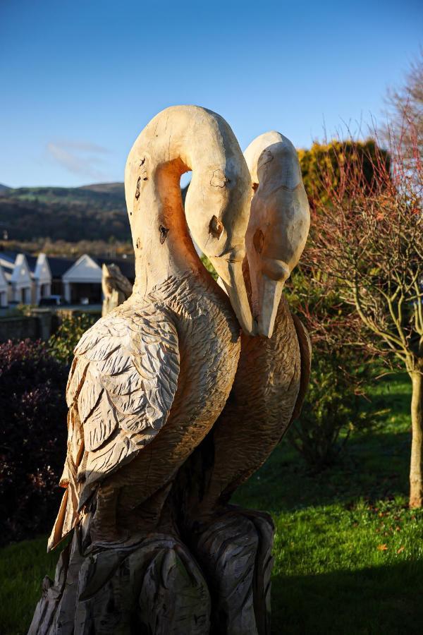 The Lakeside Hotel & Leisure Centre Killaloe Esterno foto